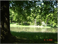 Schlossteich Elisium