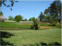 verschiedene Heidearten