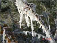 Winter 2007 Puderzucker