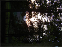 Blick in der Abenddmmerung hinab auf Linz