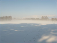 Schneegestbere in der Nachmittagssonne