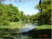 Schlosspark Elisium
